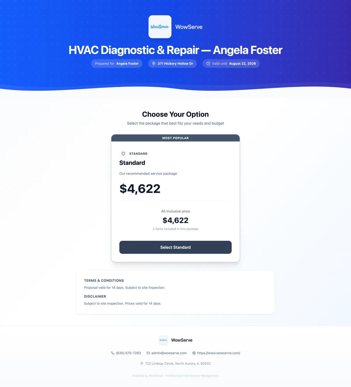 WowServe customer proposal page showing tiered package options with pricing